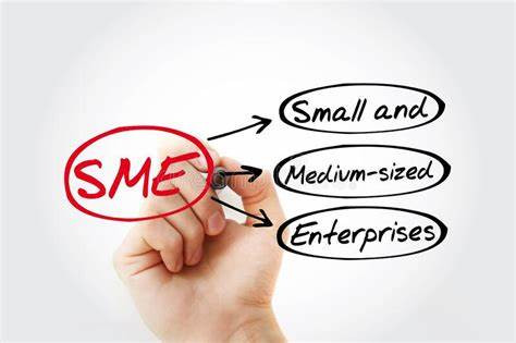 إدارة المشاريع الصغيرة والمتوسطة